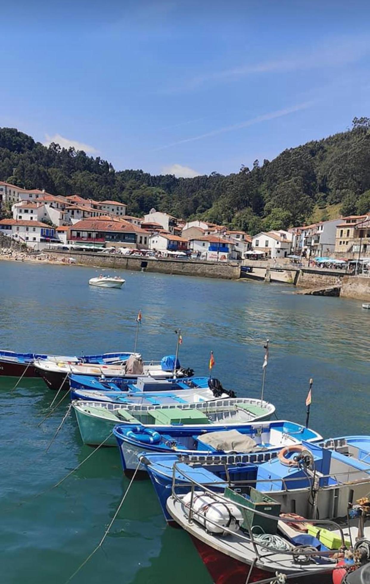 Apartamento Turistico Nanielles Sella Playa - Vut 3050As Ribadesella Exteriör bild